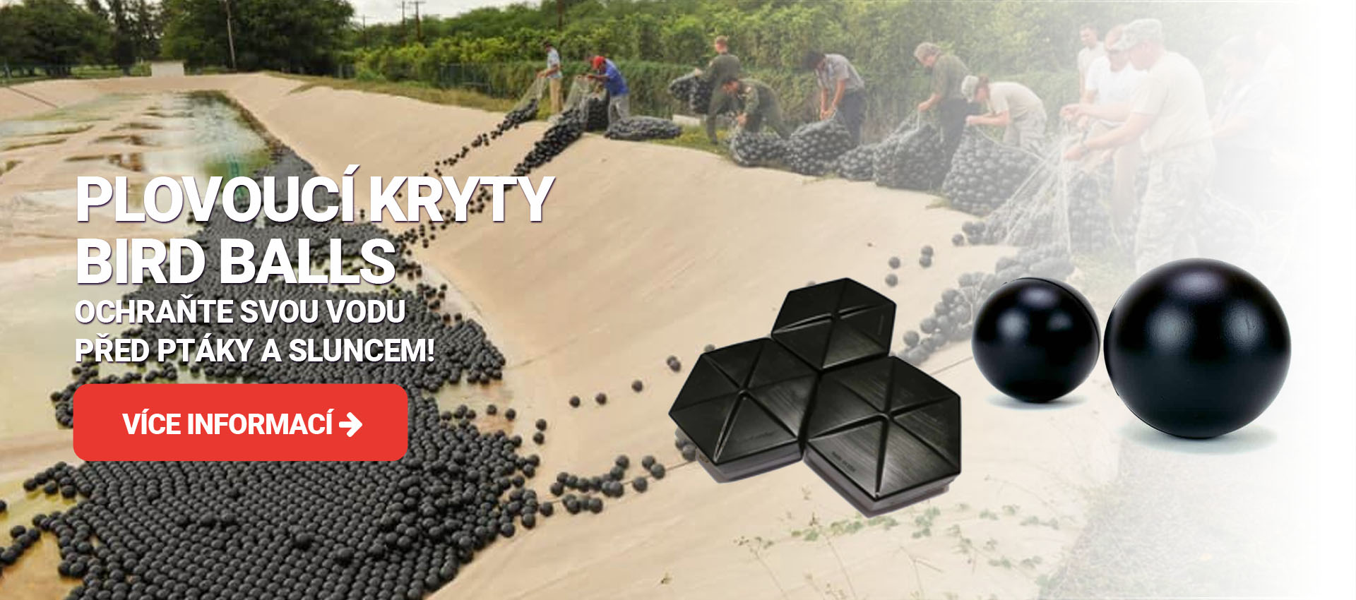 Bird Balls - Ochraňte svou vodu před ptáky a sluncem!