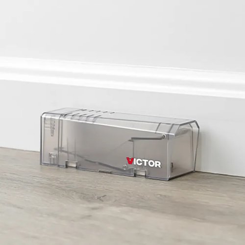 Victor Live Catch Mouse Trap M337 – Humánní past na myši