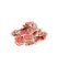 Ratibrom 2 pasta 25 kg (SK) bromadiolon 0,005