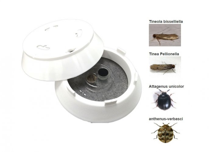 Xlure-FIT monitor hmyzu napadající tkaniny