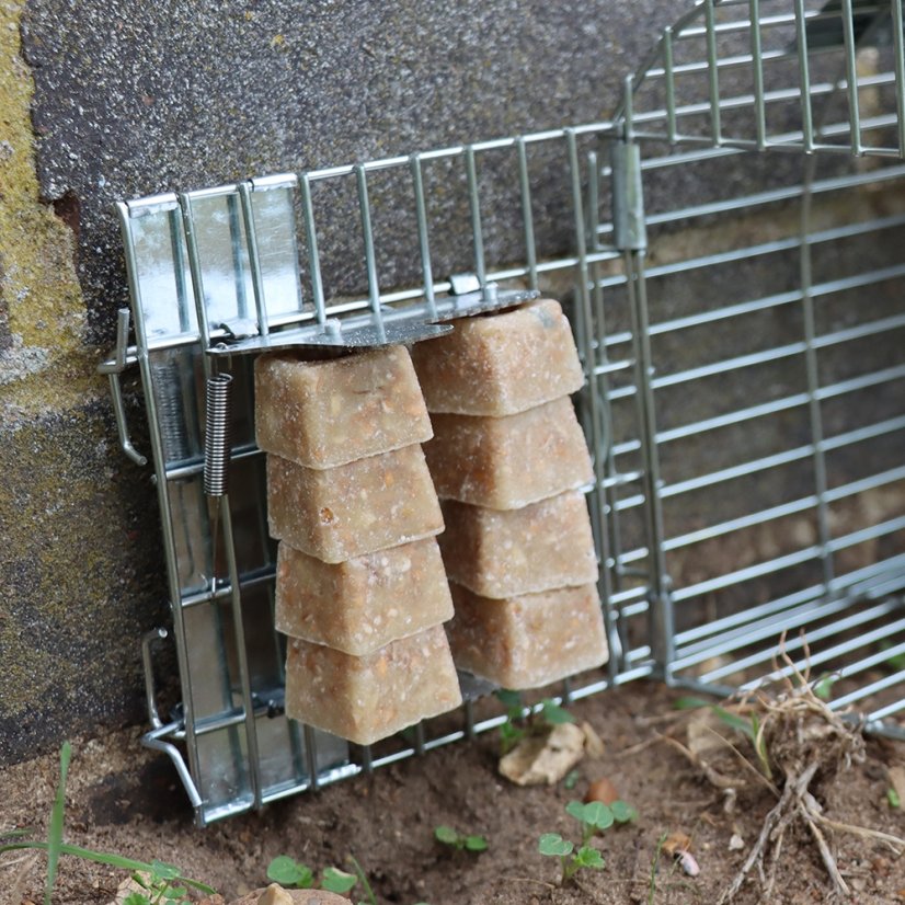 Multi Catch Rat Cage Trap (STV204)