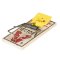 VICTOR - EASYSET MOUSE TRAP 2 PK (M035) - Past na myši s pachem sýra